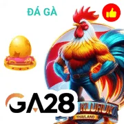 gamebet Game 08
